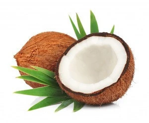 Natural Fresh Coconut for wholesale from India