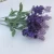 Import Natural plant handmade DIY high quality dry artificial lavender flowers for wedding decor from China