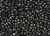 NEW crop black kidney bean