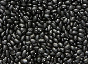 NEW crop black kidney bean
