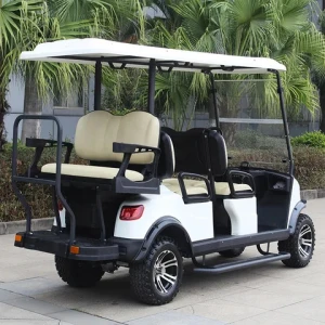 New Electric Golf Cart  6 Seats 48v  Lithium Battery Golf Cart China Electric Touring Vehicle