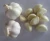 Import New Fresh Chinese Origin Crop White Garlic With Low Price from China