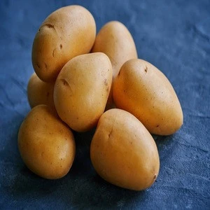 New harvest 2020 fresh potato