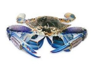 New Season Harvest Frozen Blue Swimming Crab