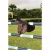 Import New Top Quality leather horse saddle/Professional English jumping Horse Riding Saddles from China