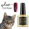 OEM your own label IBN certificate approval cat eyes uv gel nail polish