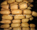 Organic Certificate Fresh Lotus Root High Quality Root Vegetables