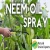 Import Organic Certified Neem Seed Extract - Neem Oil from NEE from India