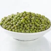 Organic Sprouting green mung beans