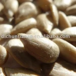 organic sunflower kernel
