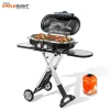 Outdoor Portable Stainless Steel BBQ Gas Grill