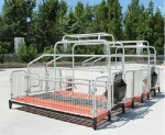 Pig/sow /piglet/piggery farrowing crate/ Gestation/stall/pen (Crate-01-B)