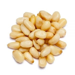 Pine Nut for Chinese wholesale in bulk price