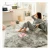 Import pink fluffy bedroom comfortable soft plush make up mat living room carpet from China