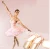 Import Pink Women Ballet Dance Toe Shoes Flat Satin Pointe Shoes For Girl from China