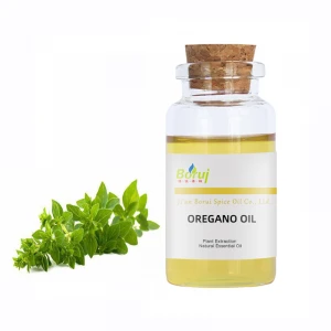 Plant Extract Natural Organic Oregano Oil Bulk Essential Oil Best Price