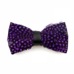 Polyester Plain Dyed Pretied Feather Bow Tie