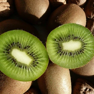 Premium Quality Fresh Kiwi Fruits
