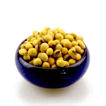 Premium Quality Sweet quality soya bean for oil , soybean , Soybean Seeds