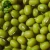 Price for Fresh Green Mung beans/ Urad Dal/ Gram/Peas for Sale Competitive Price