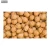 Import Protein Rich Good Taste Kabuli Chickpeas from Reliable Supplier from India