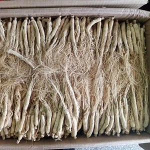 Pure Natural Plant Chinese Herb Oriental Ginseng