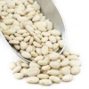 PURE Organic Butter Beans /Broad Beans/Cocoa beans at wholesale price