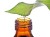 Import pure Tea Tree Oil of India from India