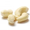 Quality Cashew Nuts WW450 W180/ W320/ W240/ LP/ SP good material for EU quality AFI standard