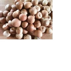 Quality Dried Areca Nut-Whole and Split Betel Nut