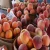 Import Quality Fresh Sweet Peaches from China