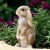 Import rabbit statue decoration polyresin craft from China