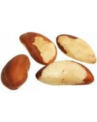 Raw brazil nuts / Brazil nuts Thailand / Organic Brazil Nuts