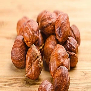 Raw Hazelnut / Organic Grade Hazelnut/Hazel Nuts