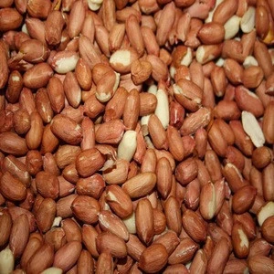 Raw Peanuts/Red Peanuts/ Sweet Peanuts(Groundnuts)/Acorns