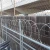 Import Razor Barbed Wire Low Price Concertina Hot Dipped Galvanized Razor Wire from China