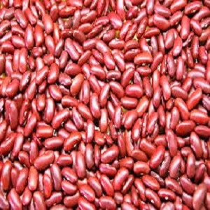 Red Kidney Beans / Dark Red Kidney Beans