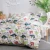 Import Ruikasi Home Textile Super Soft Polyester Cartoons Bed Bedding Sheet Set from China