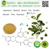 RUNYU Natural Green Tea Extract 90% Catechins 60% EGCG 0.5% Caffeine (HPLC)