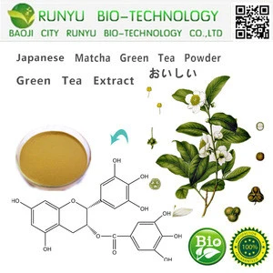 RUNYU Natural Green Tea Extract 90% Catechins 60% EGCG 0.5% Caffeine (HPLC)