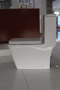S-trap one-piece Toilet bowl for hotel with long warranty period (OEM is available)