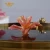 Import SAINT-VIEW Handmade Crystal Bling Quartz Flower Glass Paperweight Table Decoration from China