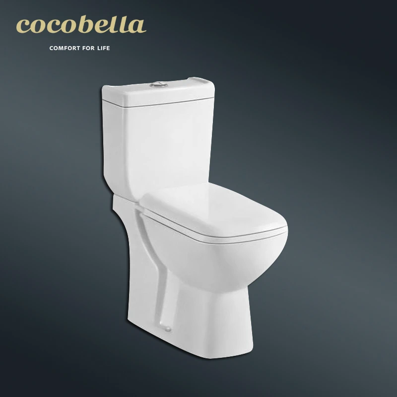 seat 3d africa 2 in 1 cover accesoire toilette accessories two piece spy cam foshan the p trap set australia toilet