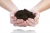 Import seaweed organic Bio fertilizer seaweed extract fertilizer enhance agriculture produce and fast plant growth from China