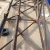 Import Self Supporting Galvanized 4leg tower from China