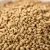 Import Sichuan Sanjiang 100% nature  wholesale bulk pure roasted tartary buckwheat tea from China