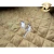 Import Single Quilting Elastic Waterproof Sofa Cover from China