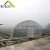 Import Single-span Agriculture Greenhouse with powerful NFT vertical hydroponics growing system from China