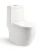 Import Siphonic water saving bathroom one piece washdown wc arabic toilet bowl price from China