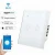 Import Smart power touch alexa remote voice control wifi light switch from China